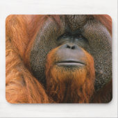 Portrait of Orang-utang Male, Georgia, USA マウスパッド (正面)