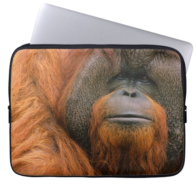 Portrait of Orang-utang Male, Georgia, USA ラップトップスリーブ (正面)