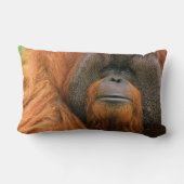 Portrait of Orang-utang Male, Georgia, USA ランバークッション (裏面)