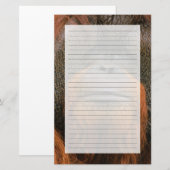 Portrait of Orang-utang Male, Georgia, USA 便箋 (正面/裏面)