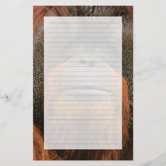 Portrait of Orang-utang Male, Georgia, USA 便箋 (正面)