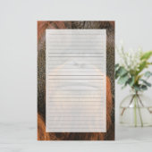 Portrait of Orang-utang Male, Georgia, USA 便箋 (スタンド正面)