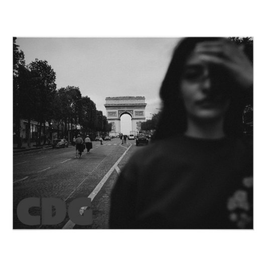 Portrait of Paris ポスター (正面)