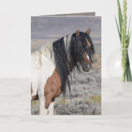 Portrait of Zephyr Wild Horse Greeting Card 招待状