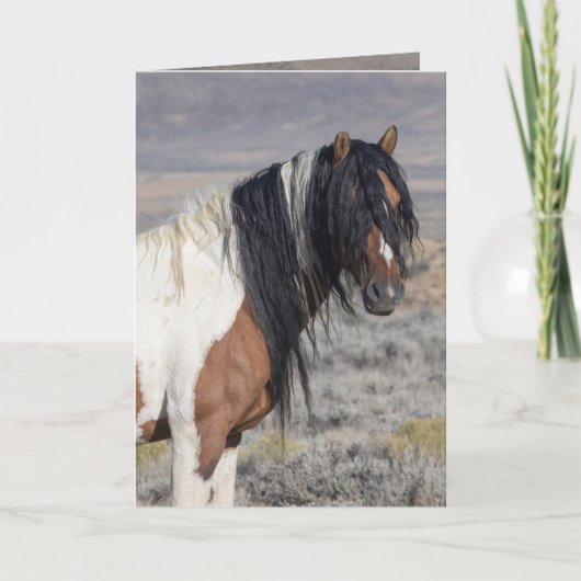 Portrait of Zephyr Wild Horse Greeting Card 招待状 (正面)
