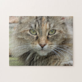 Portrait Photo Tabby Cat ジグソーパズル