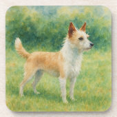 Portuguese Podengo コースター (正面)