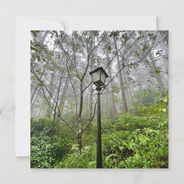 Portuguese vibes (正面)