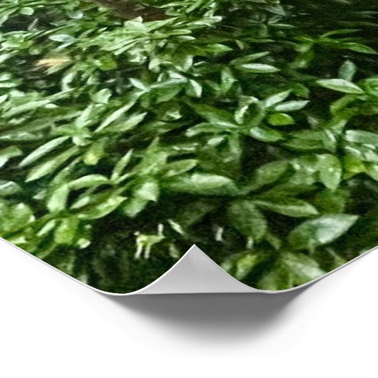 Portuguese vibes ポスター (角)