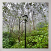 Portuguese vibes ポスター (正面)