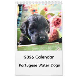 Portuguese Water Dog Calendar 2026 カレンダー