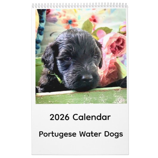 Portuguese Water Dog Calendar 2026 カレンダー (カバー)