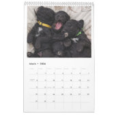 Portuguese Water Dog Calendar 2026 カレンダー (3月 2026)