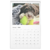 Portuguese Water Dog Calendar 2026 カレンダー (1月 2026)