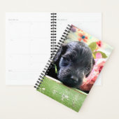 Portuguese Water Dog Planner Sweet プランナー手帳 (ディスプレー)