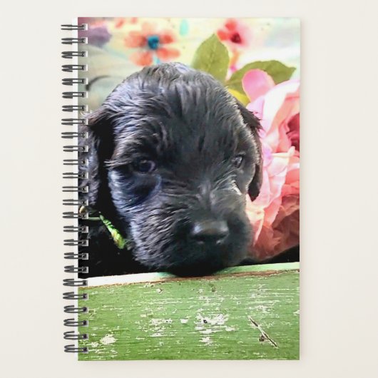 Portuguese Water Dog Planner Sweet プランナー手帳 (正面)