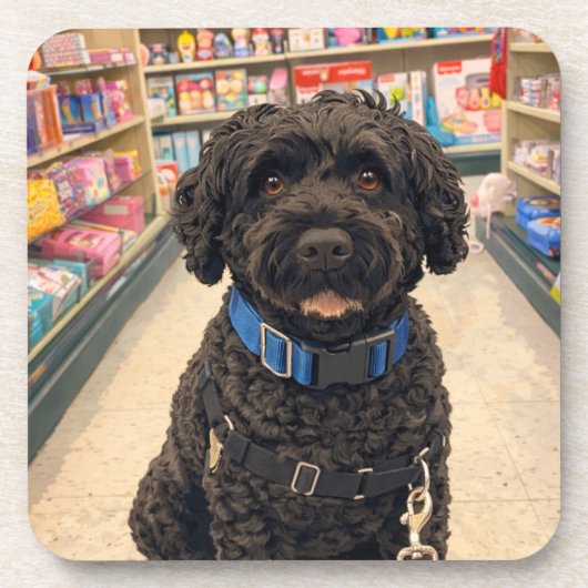 Portuguese Water Dogs Anime Anemi Coasters Set 6 コースター (正面)