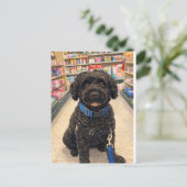 Portuguese Water Dogs Anime Anemi Postcard ポストカード (スタンド正面)