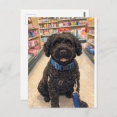 Portuguese Water Dogs Anime Anemi Postcard ポストカード (正面/裏面)