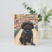 Portuguese Water Dogs Kawaii Anime Postcard ポストカード (スタンド正面)