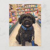 Portuguese Water Dogs Kawaii Anime Postcard ポストカード (正面)