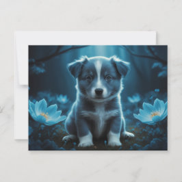 Poscards Chat Bleu ポストカード