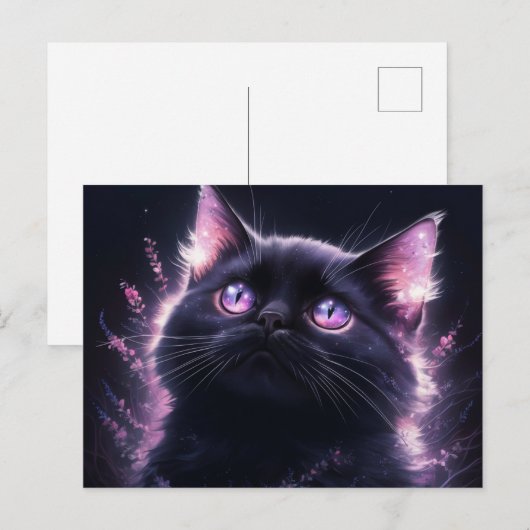 Poscards Chat Mauve 12 ポストカード (正面/裏面)