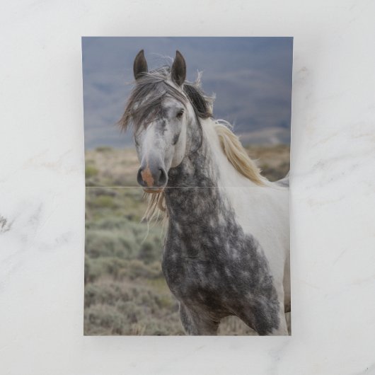 Poseidon and His Mare Greeting Card 招待状 (内部)