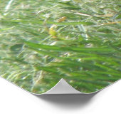 Posing Pigeon Print ポスター (角)