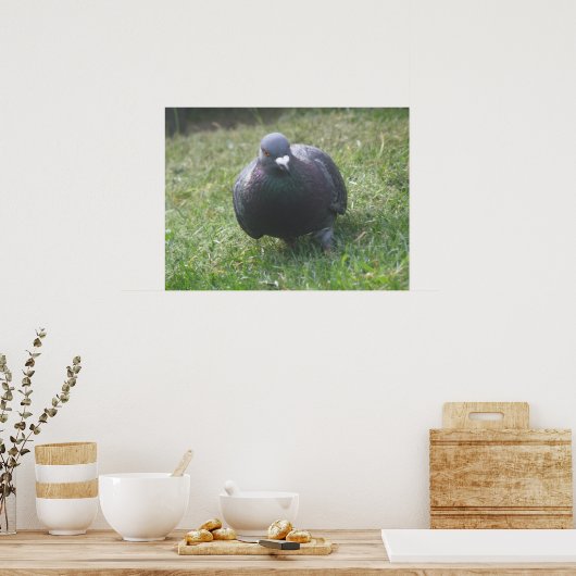 Posing Pigeon Print ポスター (キッチン)