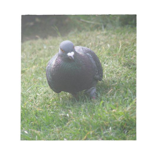 Posing Pightonメモ帳 ノートパッド (正面)