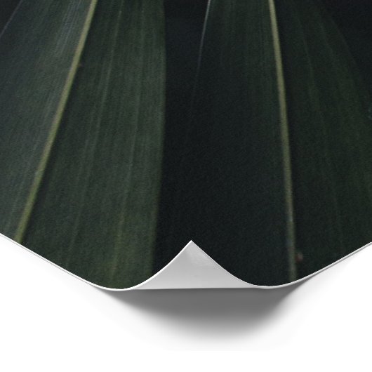 Positive Affirming Future Quote Wall Print ポスター (角)