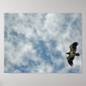 Possibilities Ahead ポスター (正面)