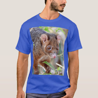 Possum at Arkarra Lagoons caesium funny Tシャツ