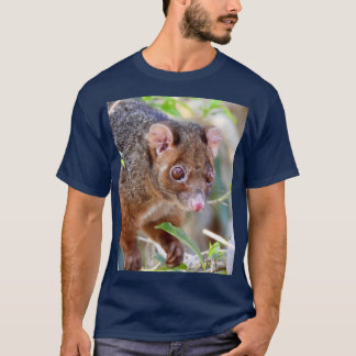 Possum at Arkarra Lagoons gift Tシャツ