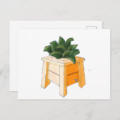 Post card ポストカード (正面/裏面)