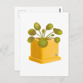 Post card ポストカード (正面/裏面)