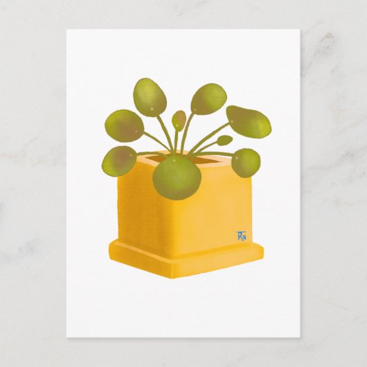 Post card ポストカード (正面)