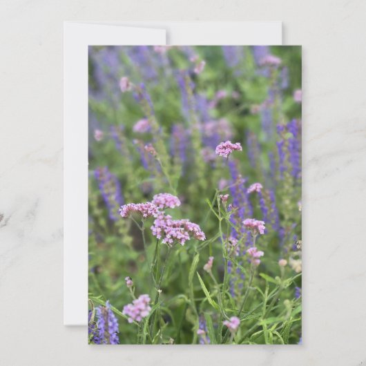 Post card  招待状 (正面)