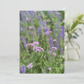 Post card  招待状 (スタンド正面)