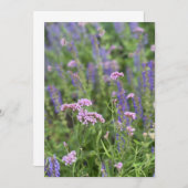 Post card  招待状 (正面/裏面)