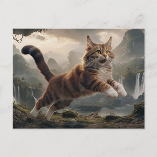 Post card  Cat  Série 10 18 ポストカード (正面)