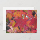 Post Card - Fall Leaves ポストカード (正面/裏面)