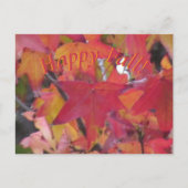 Post Card - Fall Leaves ポストカード (正面)