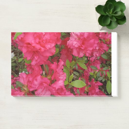 Post-it Note Pad ポストイット (オフィス)