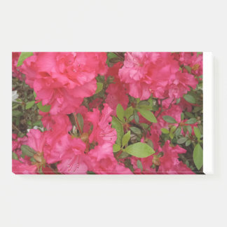 Post-it Note Pad ポストイット