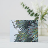 Postal Agave Mexico Souvenir ポストカード (スタンド正面)