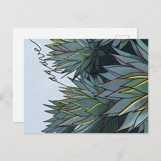 Postal Agave Mexico Souvenir ポストカード (正面/裏面)