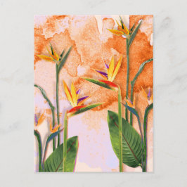 Postal Birds of Paradise in Bloom シーズンポストカード
