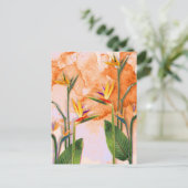 Postal Birds of Paradise in Bloom シーズンポストカード (スタンド正面)